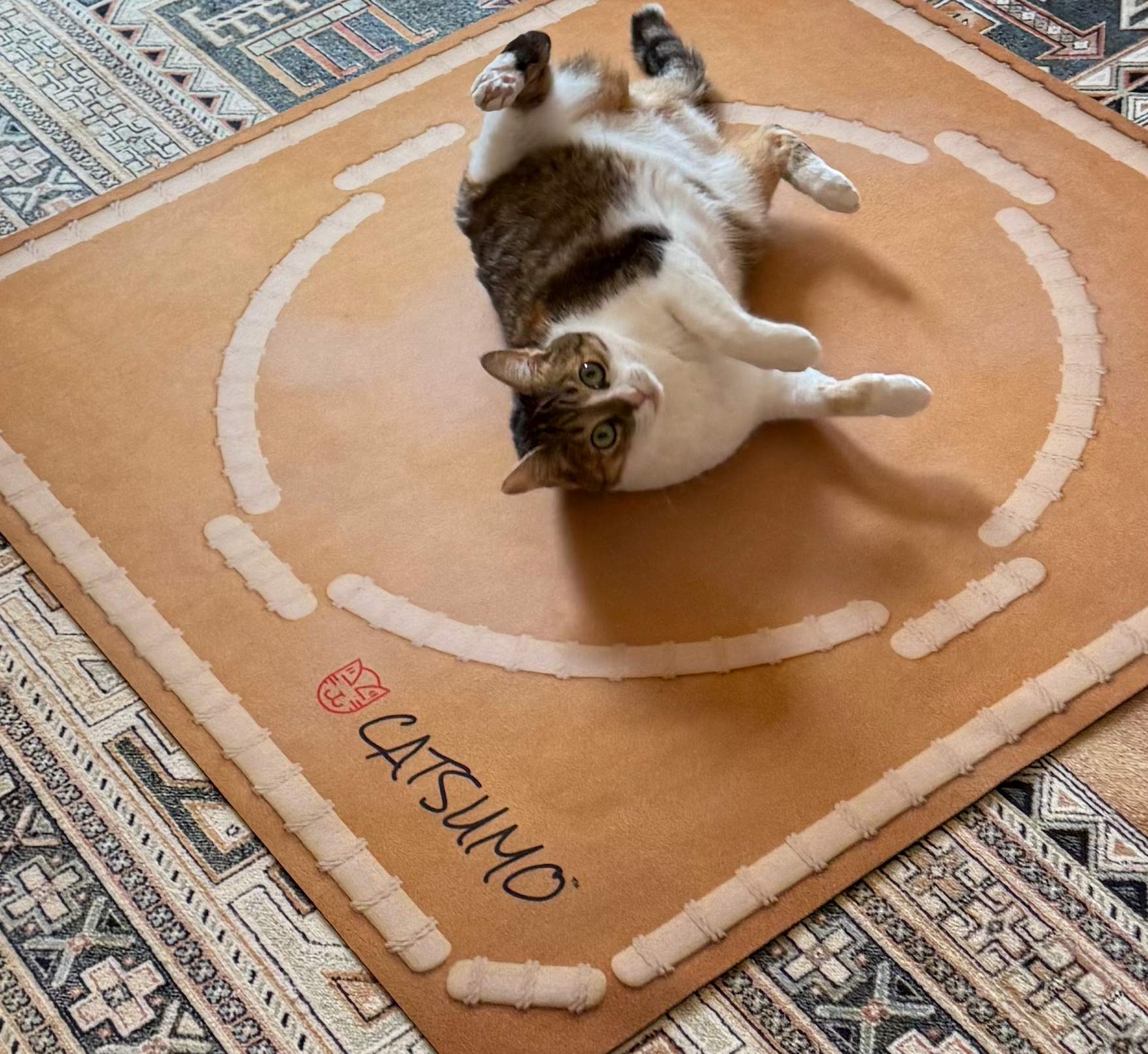 CATSUMO Starter Bundle Kit