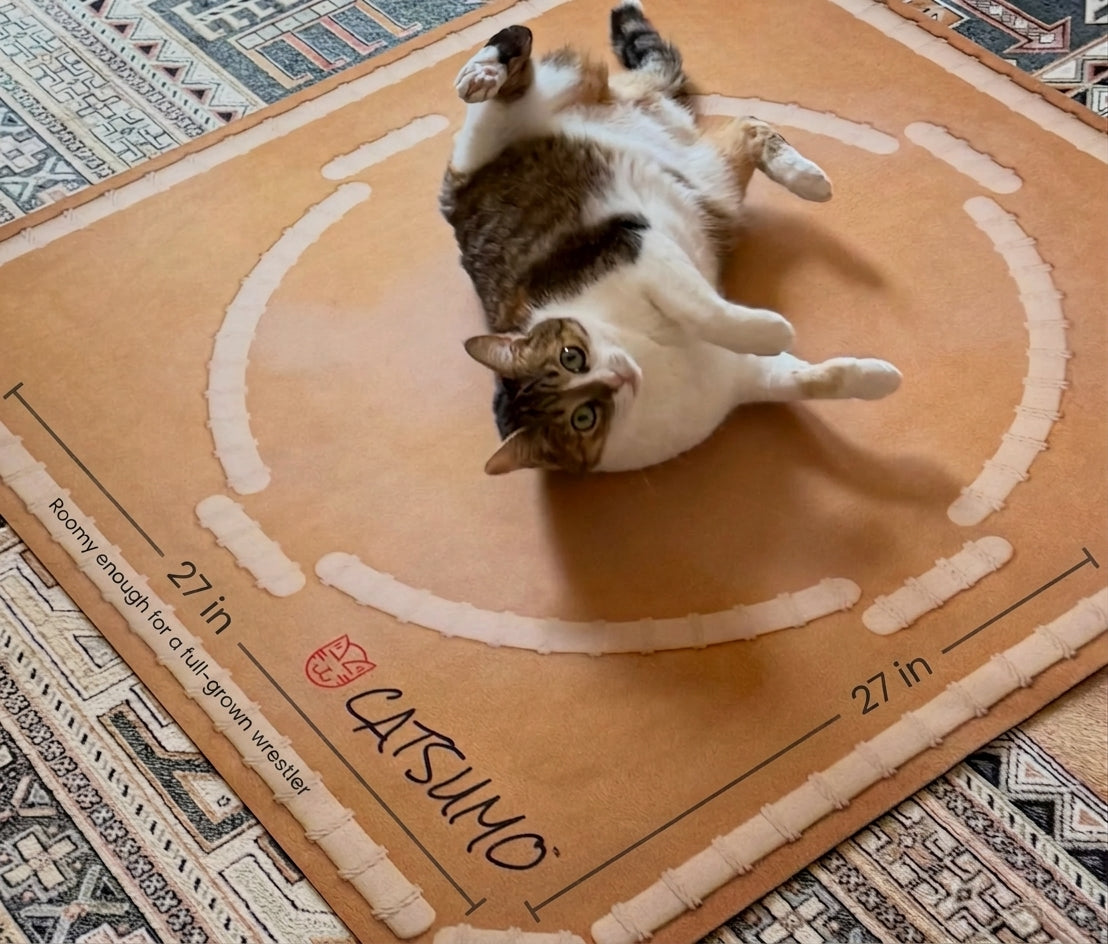 CATSUMO Dohyo Wrestling Mat