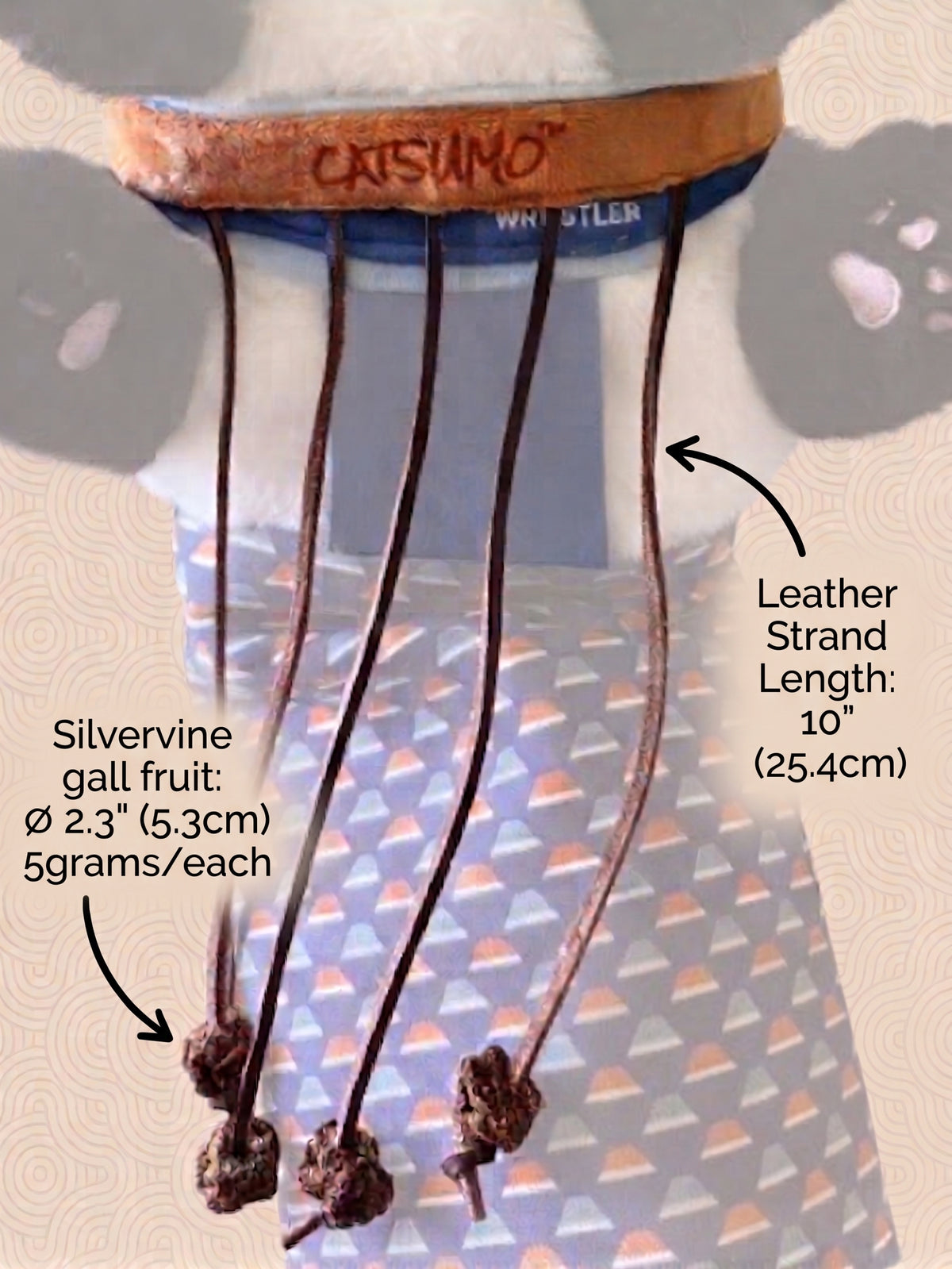 Sagari Teaser Belt
