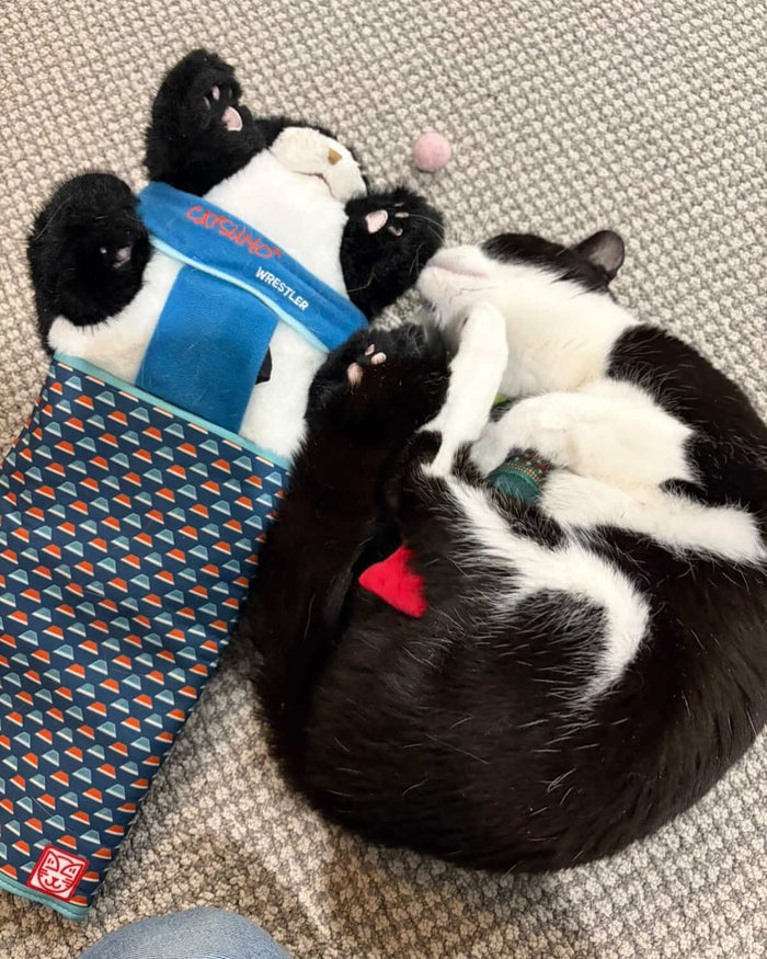 A tuxedo cat wrapped around the CATSUMO Wrestler on the carpet, mid-tussle