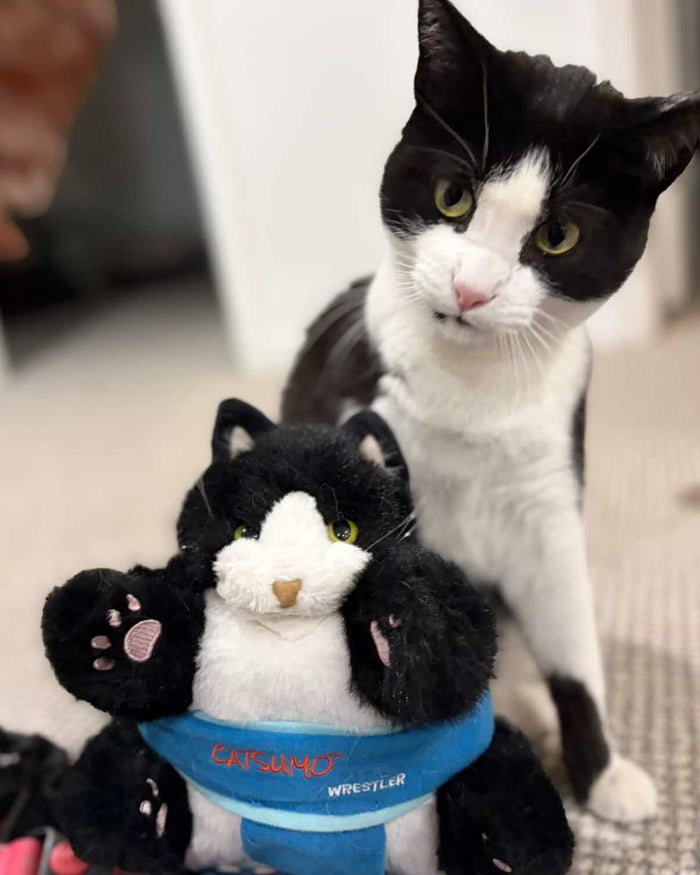 A tuxedo cat sitting upright behind the CATSUMO Wrestler, looking at the camera